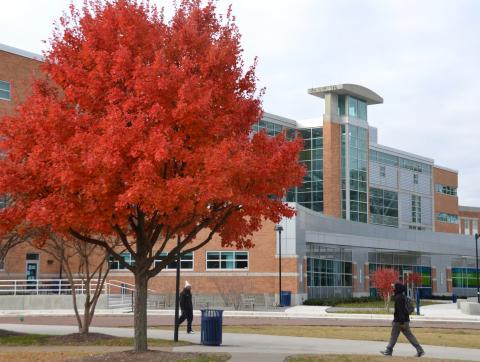 University Libraries