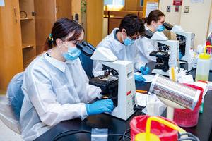 Medical Laboratory Science Students in Classroom